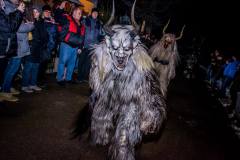 Photo by Sascha Fiala