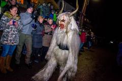 Photo by Sascha Fiala