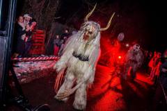 Photo by Sascha Fiala