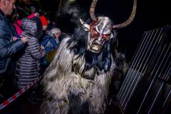 Photo by Sascha Fiala