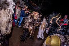 Photo by Sascha Fiala