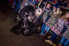 Photo by Sascha Fiala