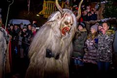 Photo by Sascha Fiala