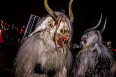 Photo by Sascha Fiala