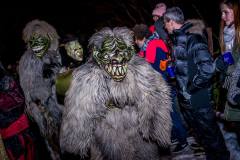 Photo by Sascha Fiala