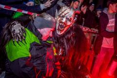 Photo by Sascha Fiala