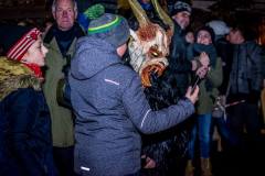 Photo by Sascha Fiala