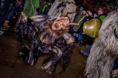 Photo by Sascha Fiala