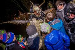 Photo by Sascha Fiala