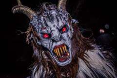 Photo by Sascha Fiala