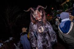 Photo by Sascha Fiala