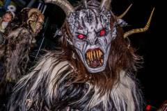 Photo by Sascha Fiala