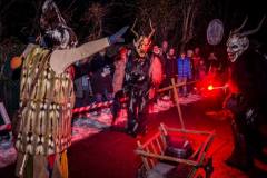 Photo by Sascha Fiala