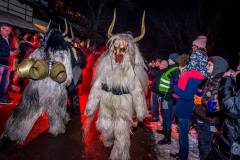 Photo by Sascha Fiala