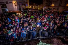 Photo by Sascha Fiala