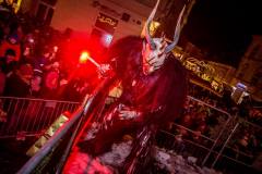 Photo by Sascha Fiala