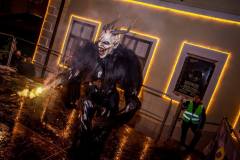 Photo by Sascha Fiala