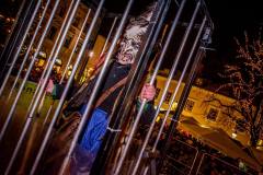 Photo by Sascha Fiala