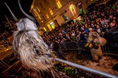 Photo by Sascha Fiala