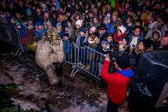 Photo by Sascha Fiala