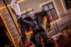 Photo by Sascha Fiala