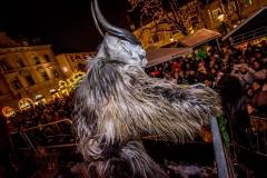 Photo by Sascha Fiala