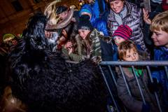 Photo by Sascha Fiala