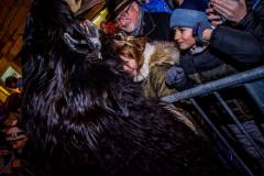 Photo by Sascha Fiala