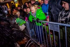 Photo by Sascha Fiala