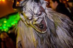 Photo by Sascha Fiala