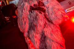 Photo by Sascha Fiala