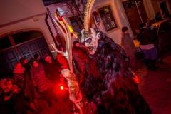 Photo by Sascha Fiala