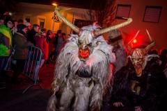 Photo by Sascha Fiala