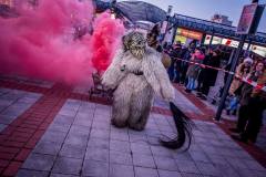 Photo by Sascha Fiala