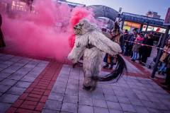 Photo by Sascha Fiala