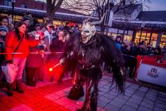 Photo by Sascha Fiala