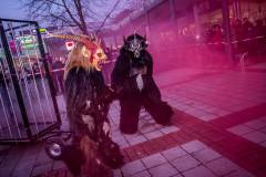 Photo by Sascha Fiala