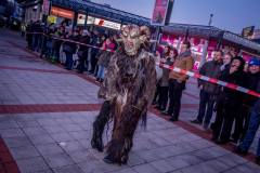 Photo by Sascha Fiala