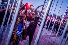 Photo by Sascha Fiala