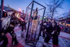 Photo by Sascha Fiala