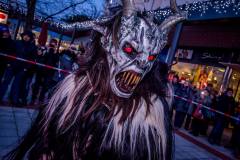 Photo by Sascha Fiala