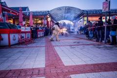 Photo by Sascha Fiala