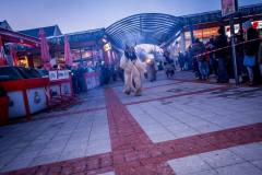 Photo by Sascha Fiala