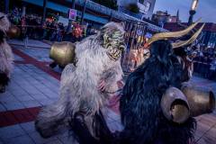 Photo by Sascha Fiala