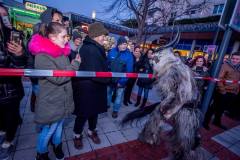 Photo by Sascha Fiala