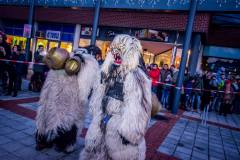 Photo by Sascha Fiala