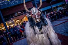 Photo by Sascha Fiala