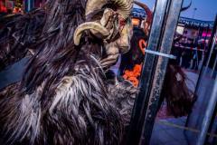 Photo by Sascha Fiala