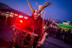 Photo by Sascha Fiala