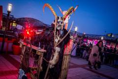 Photo by Sascha Fiala